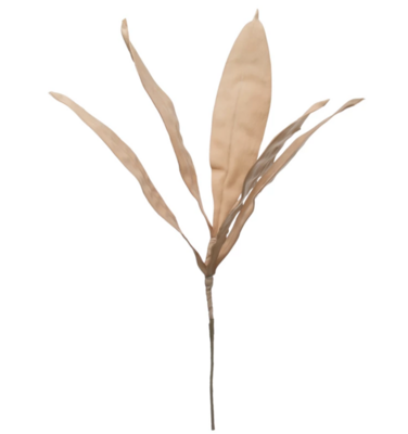 Reed Leaf Stem