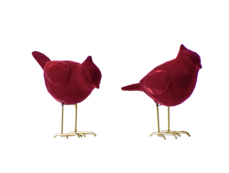 Velvet Cardinal