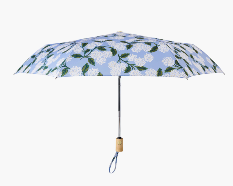 Hydrangea Umbrella
