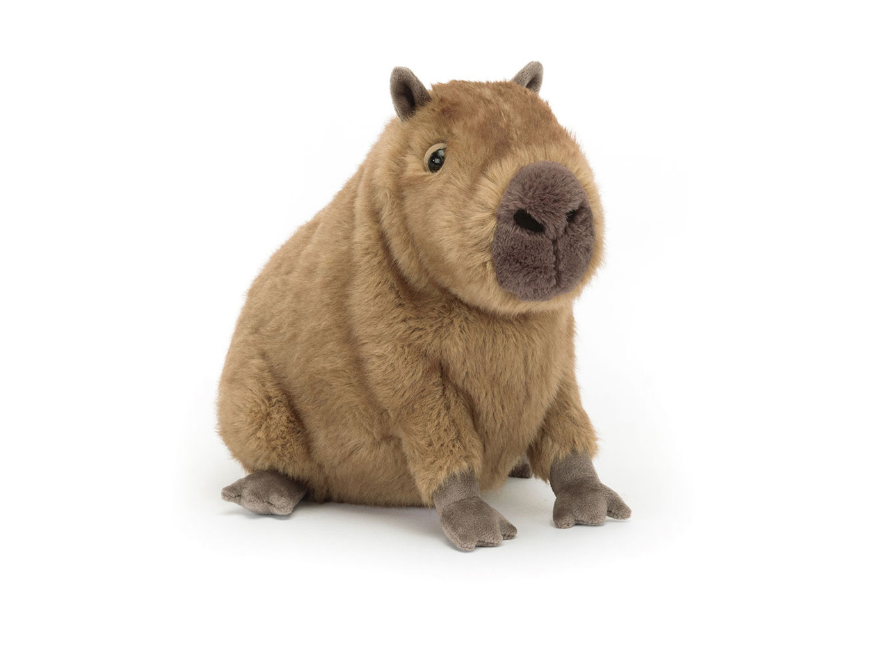 Clyde Capybara