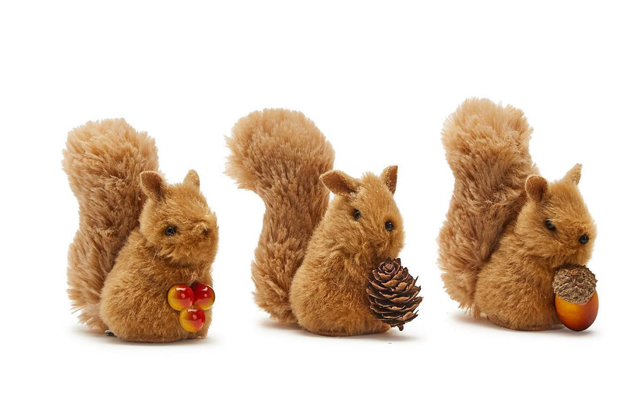Squirrel Clip On
