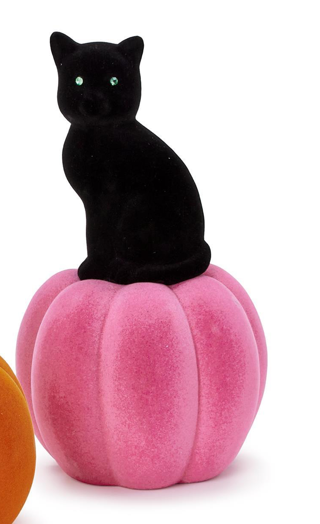 Black Cat on Pumpkin- Lg