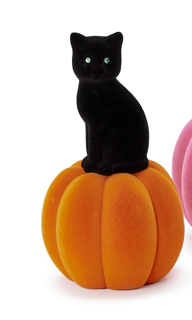 Black Cat on Pumpkin- Sm