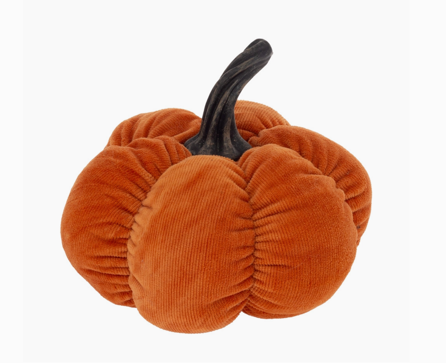 Cordy Pumpkin- OR