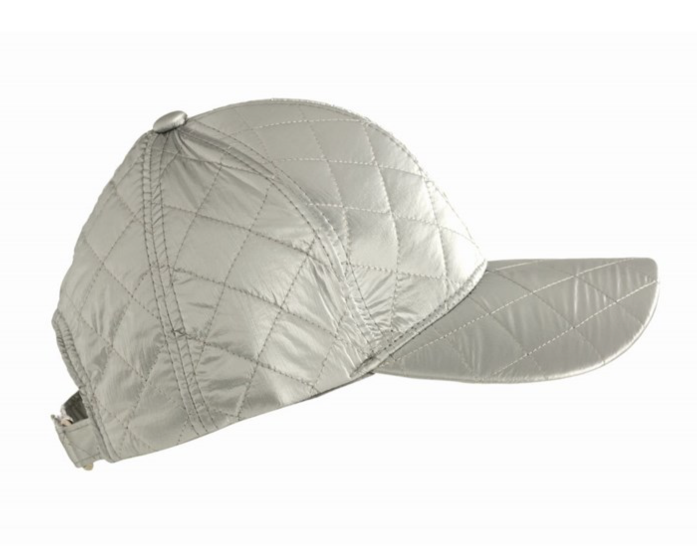 Logan Cap- Silver