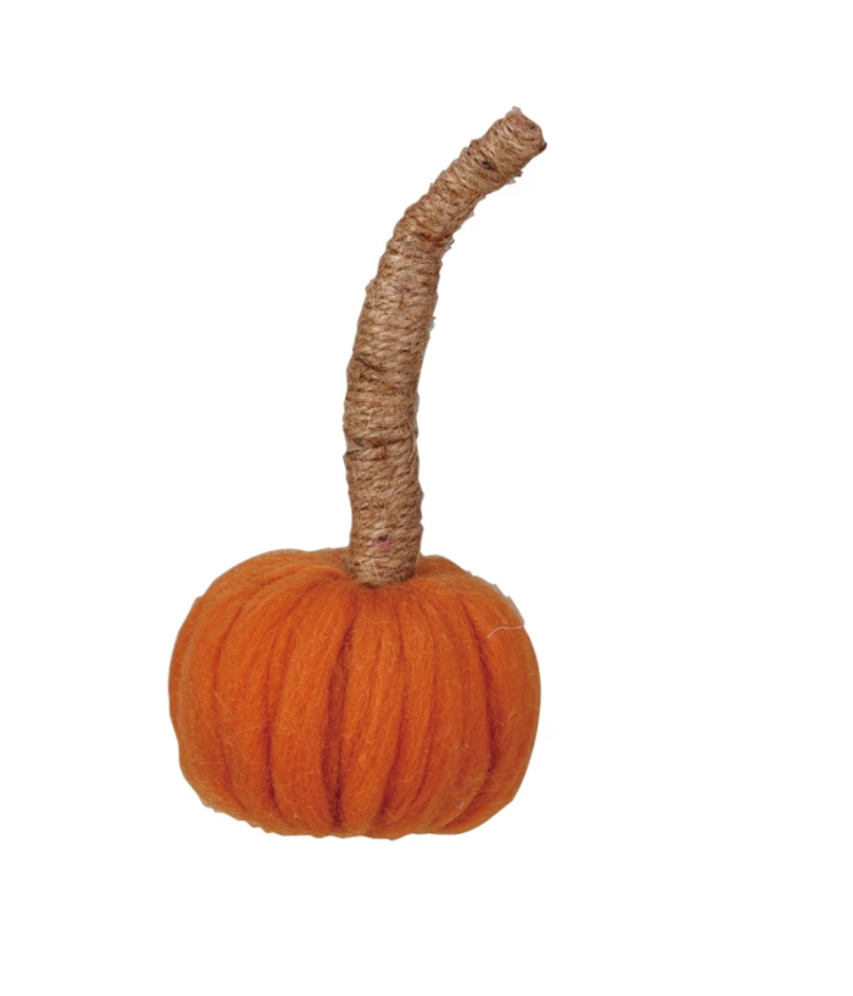 Long Stem Pumpkin