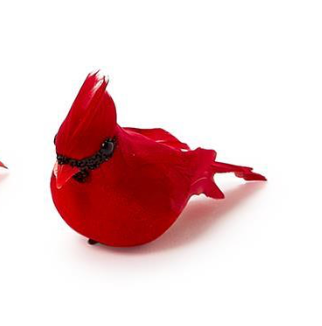 Cardinal Clip On