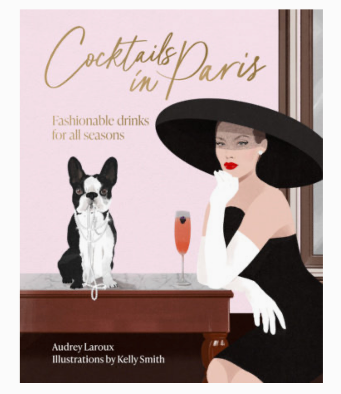 Cocktails in Paris Book