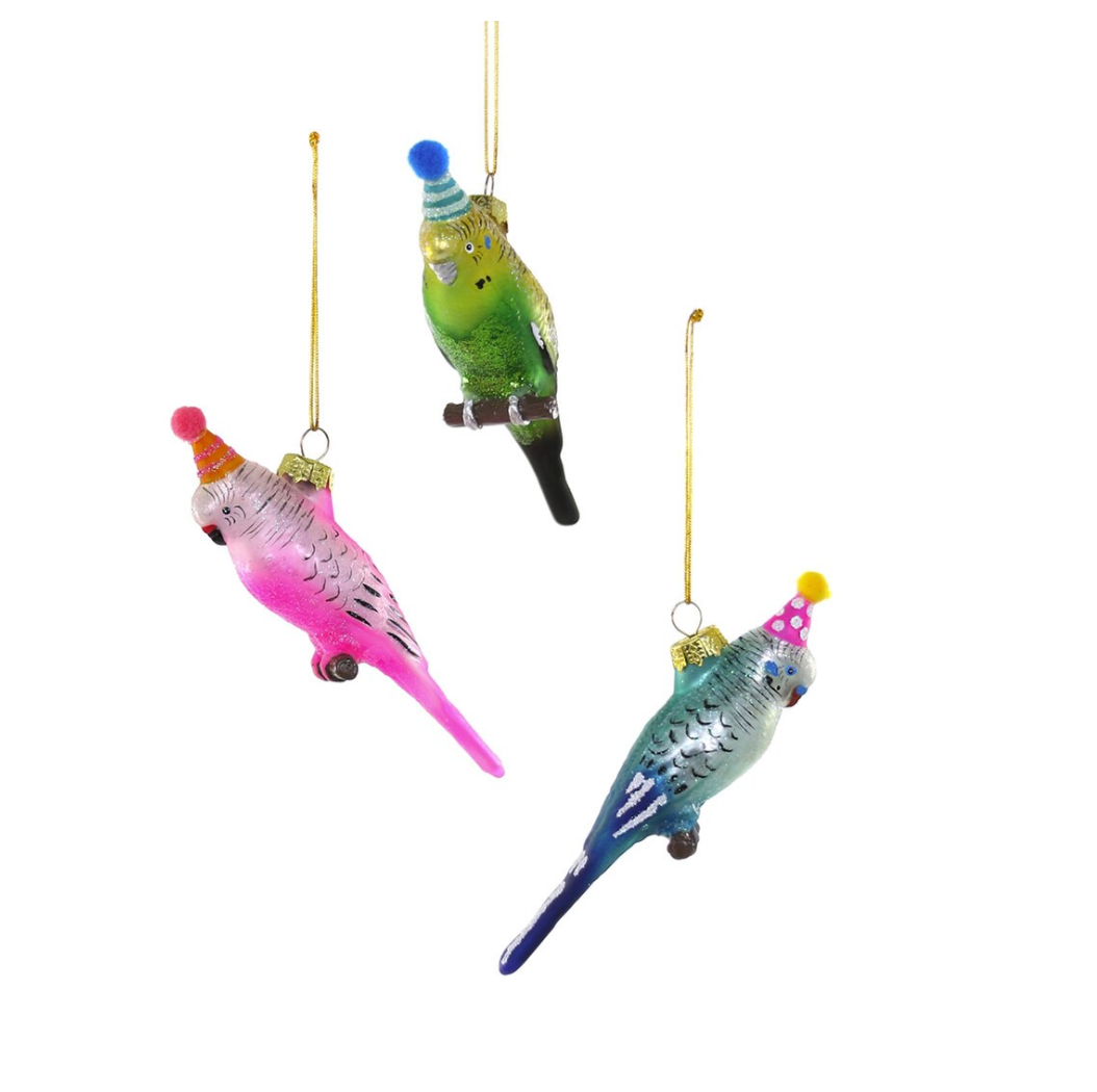 Party Parakeet Orn