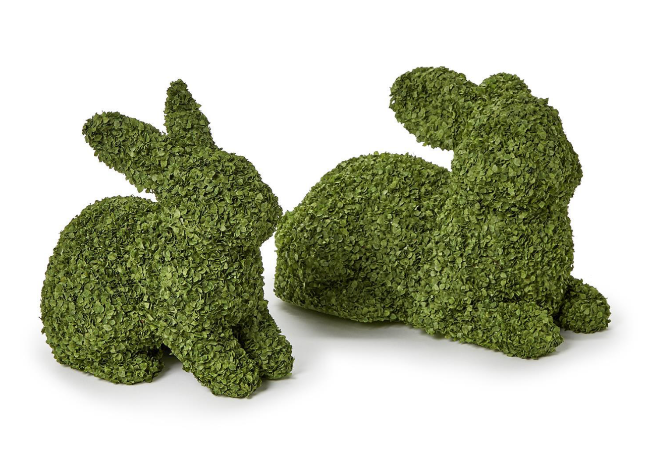 Buckwheat Bunny- Lg