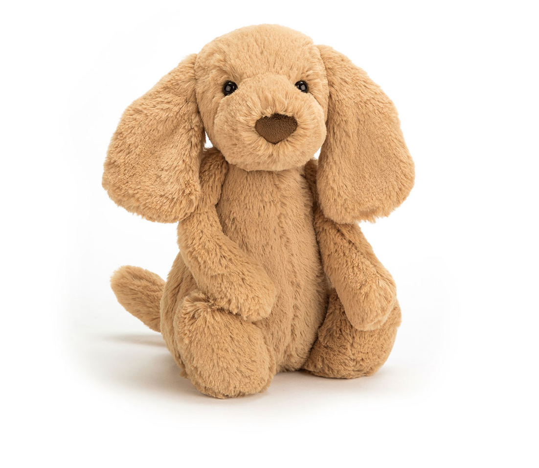 Bashful Toffee Puppy