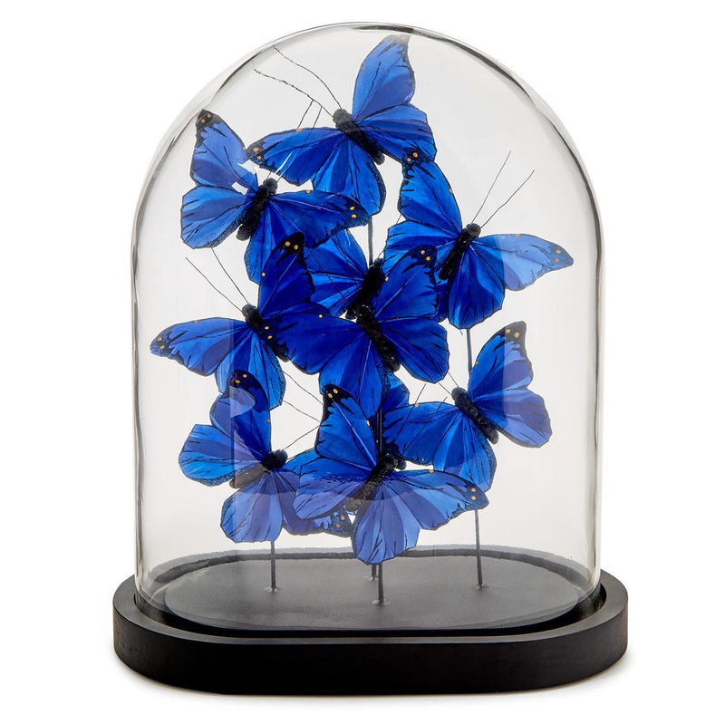 Butterflies in Dome