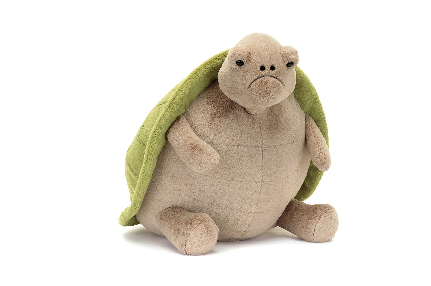 Timmy Turtle