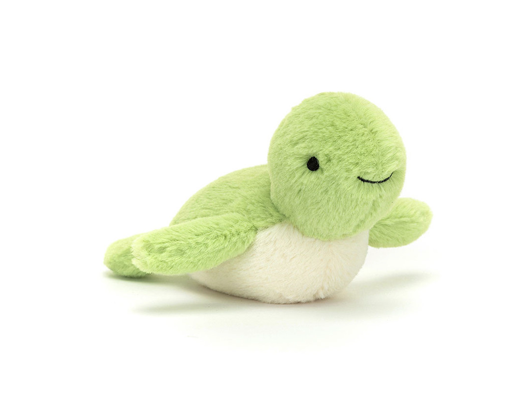 Fluffy Turtle