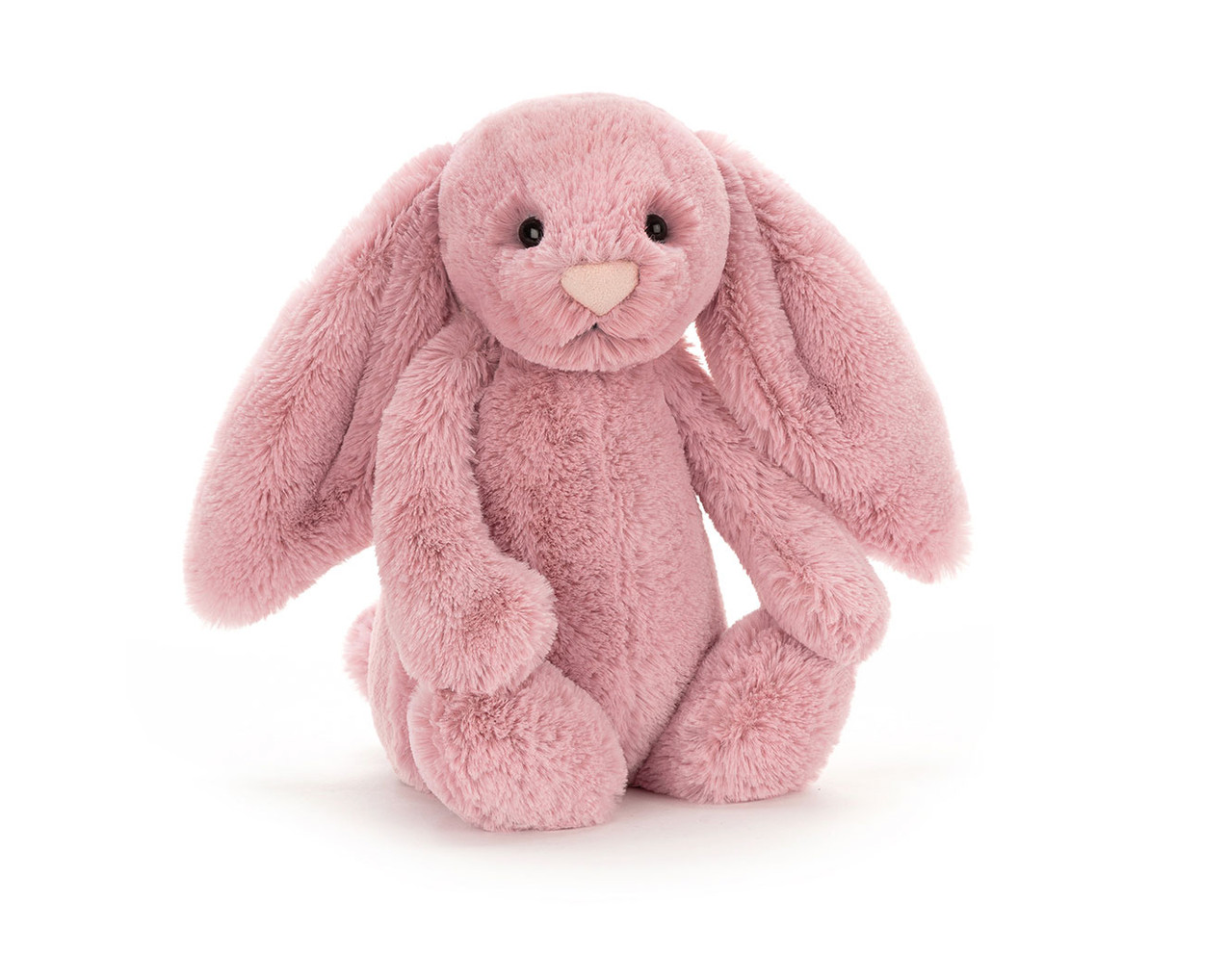 Bashful Bunny- Tulip