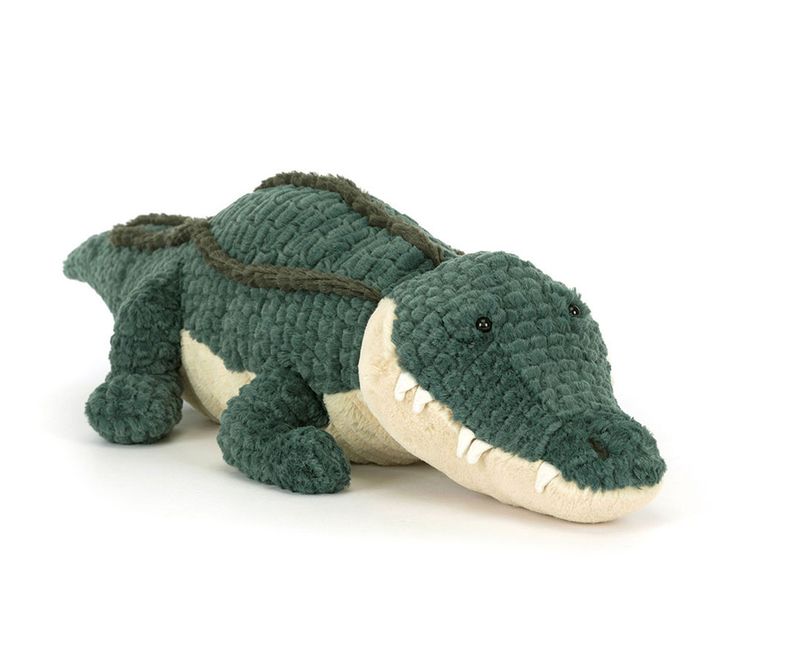 Allexi Alligator