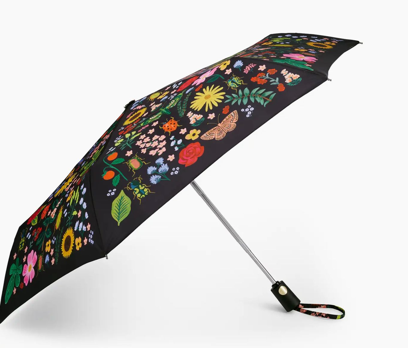 Curio Umbrella