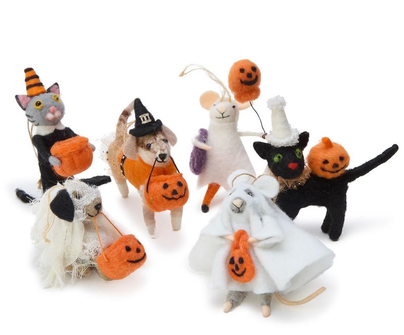 Wool Hallo Pet