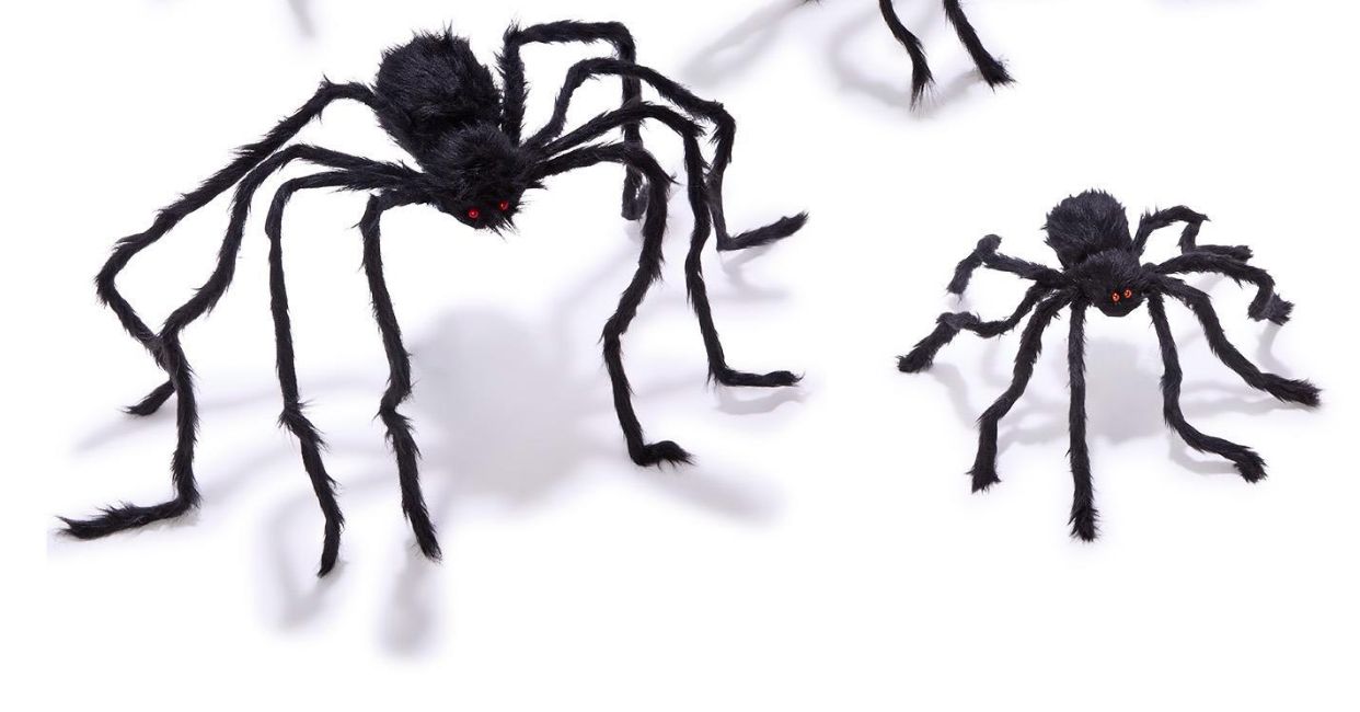 Furry Spider- L