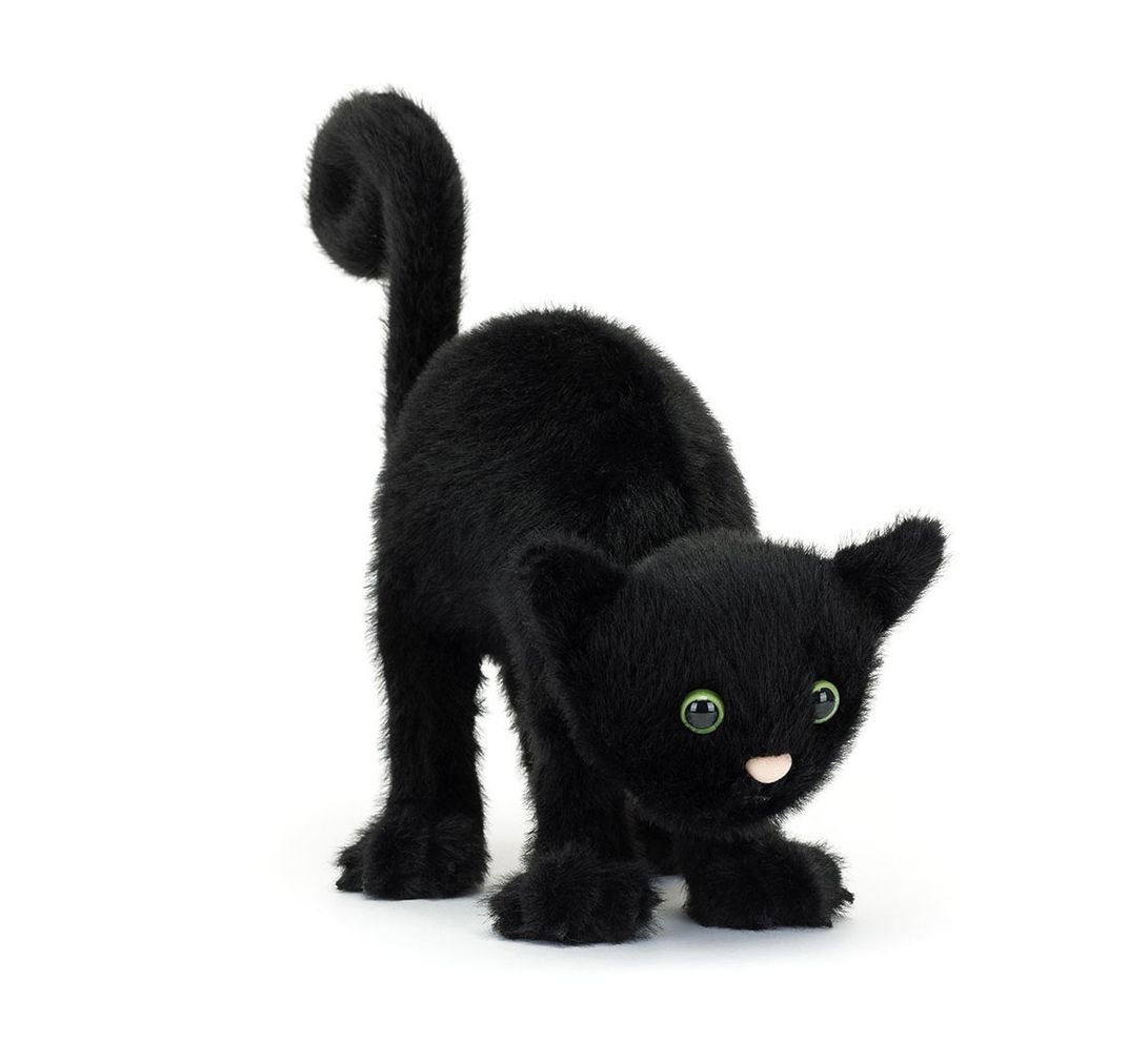 Spookipaws Cat