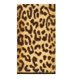 Leopard Guest/Dinner