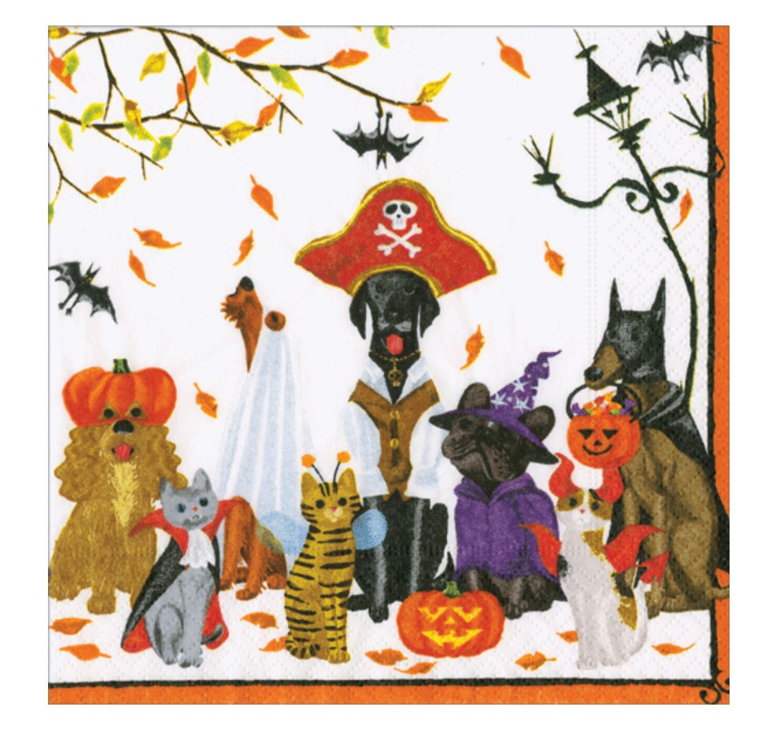 Hallow Pet Cocktail Naps