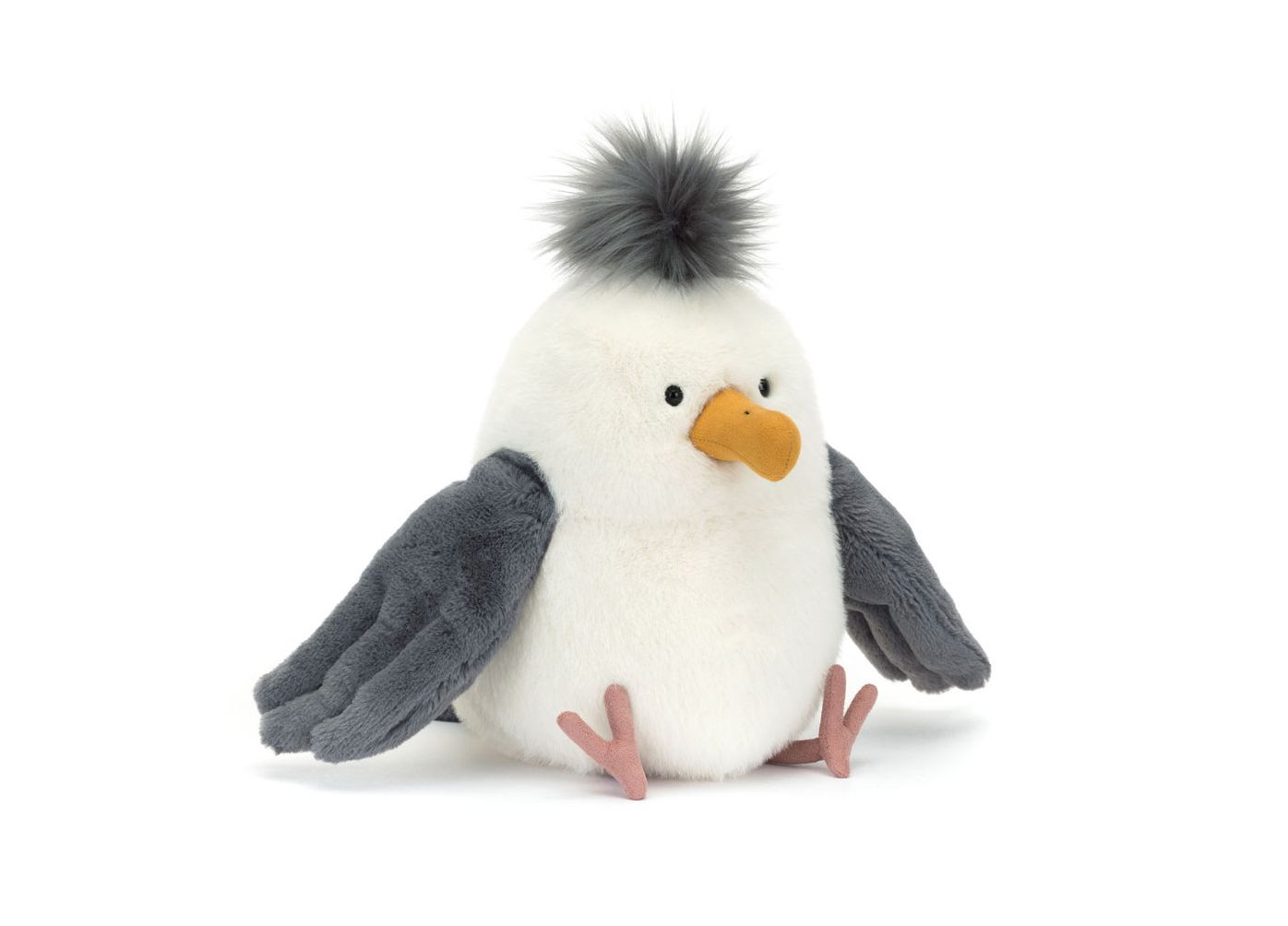 Chip Seagull