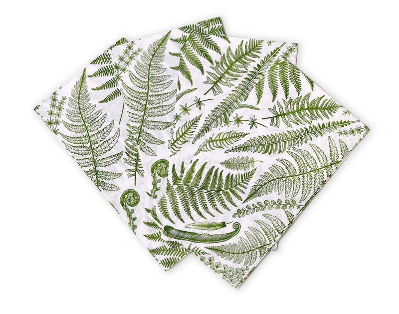 Fern Dinner/Guest Naps