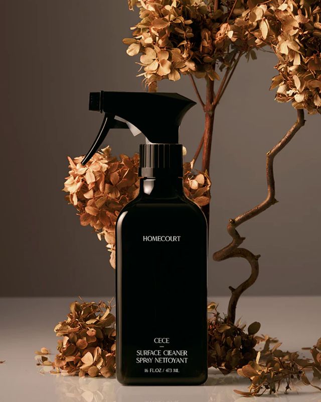 Surface Cleaner- Cece