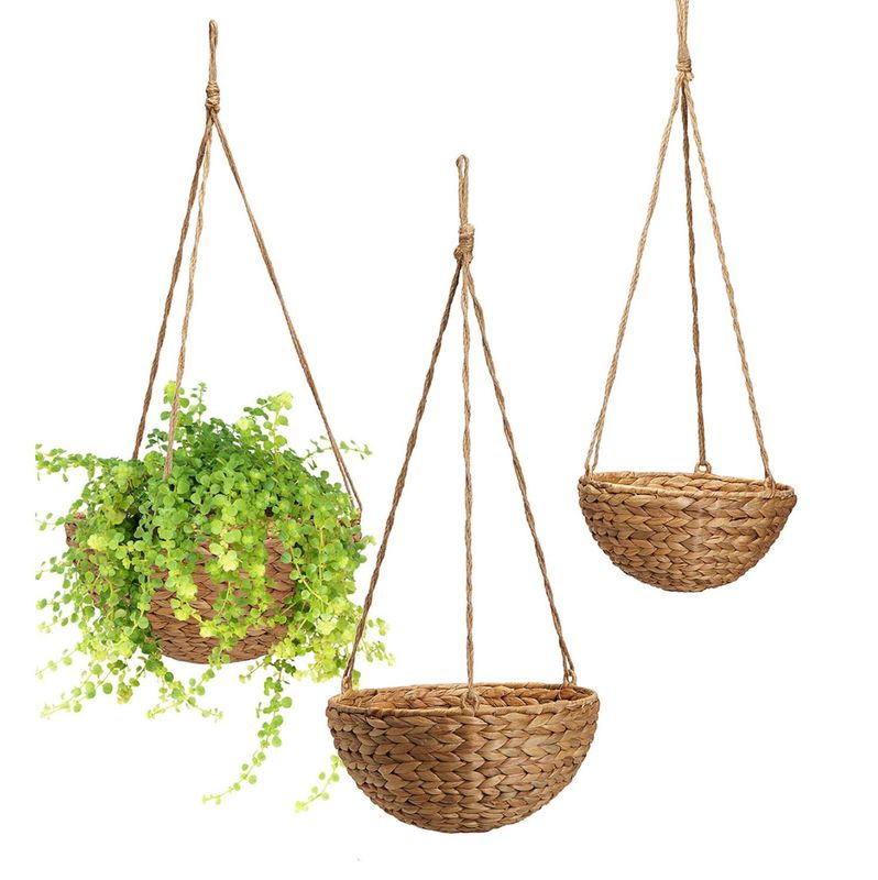 Hanging Basket- Lg