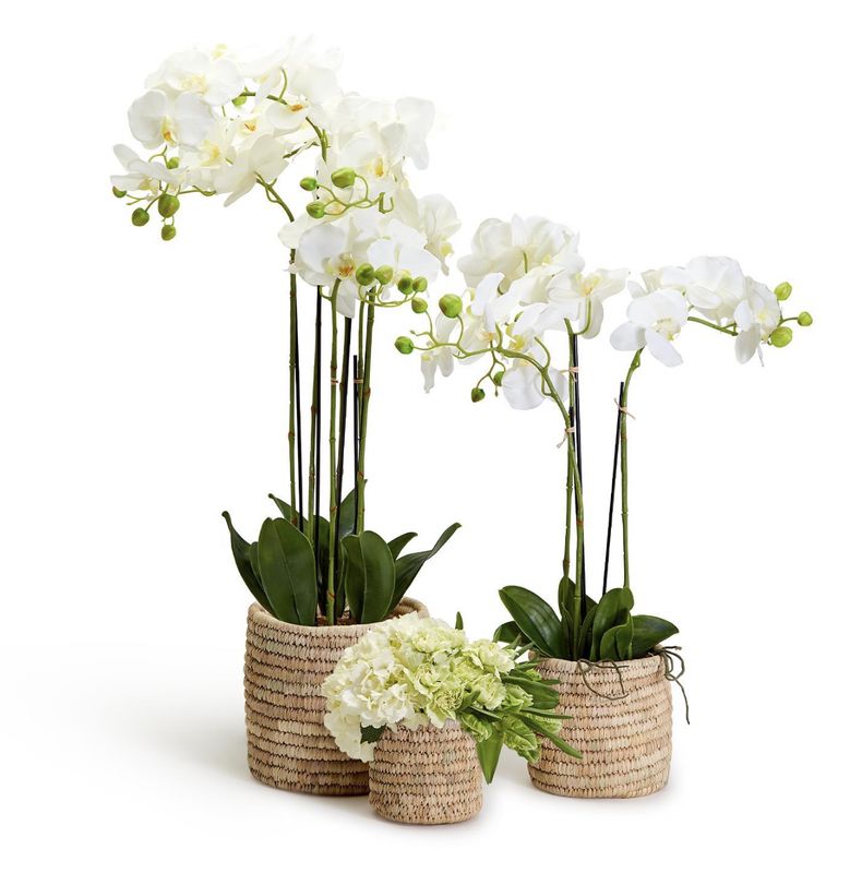 Date Leaf Cachepot- Md