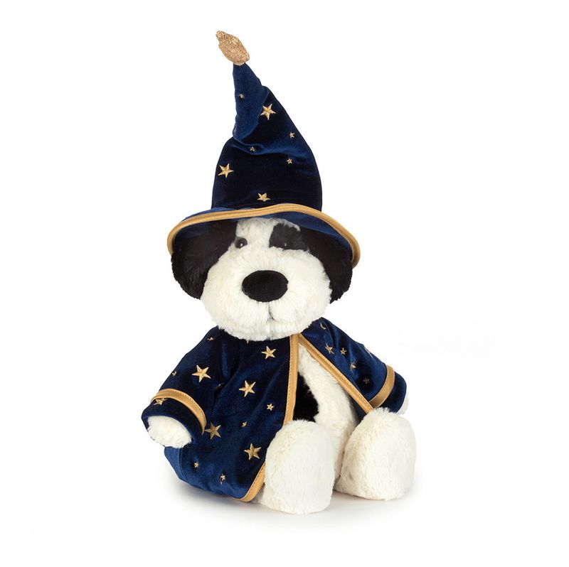 Rufferty Puppy Wizard