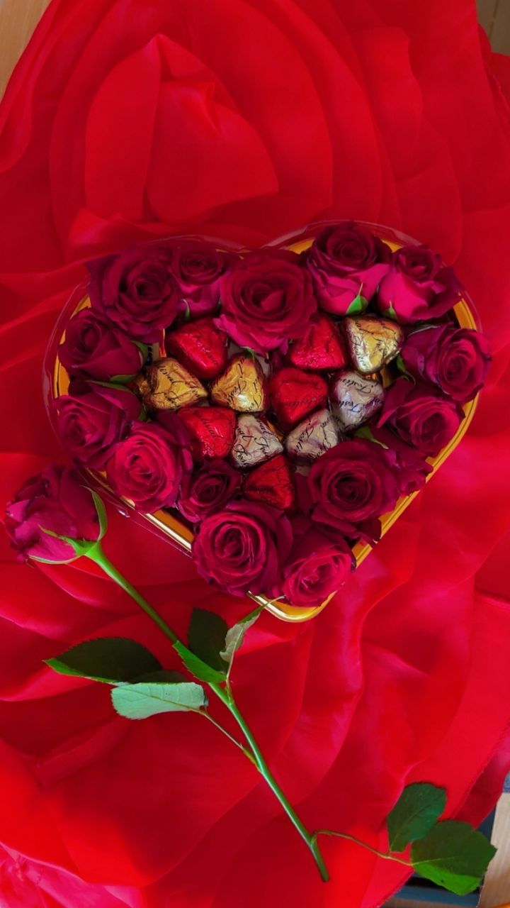 Chocolate and Roses delight