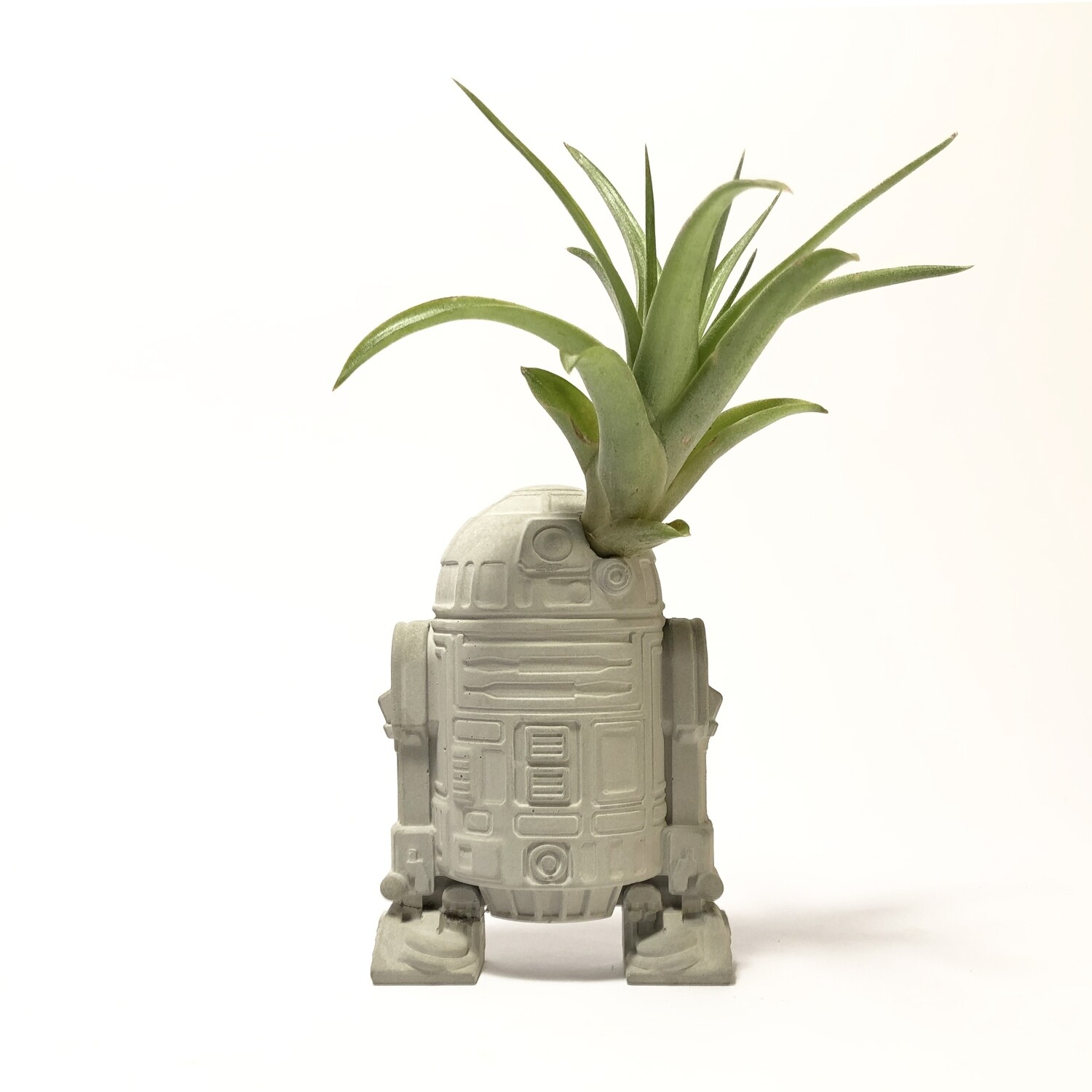 Piccolo R2-D2 Star Wars vaso Piante Aeree in cemento