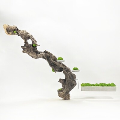 Disequilibrio in Equilibrio scultura con Muschio stabilizzato