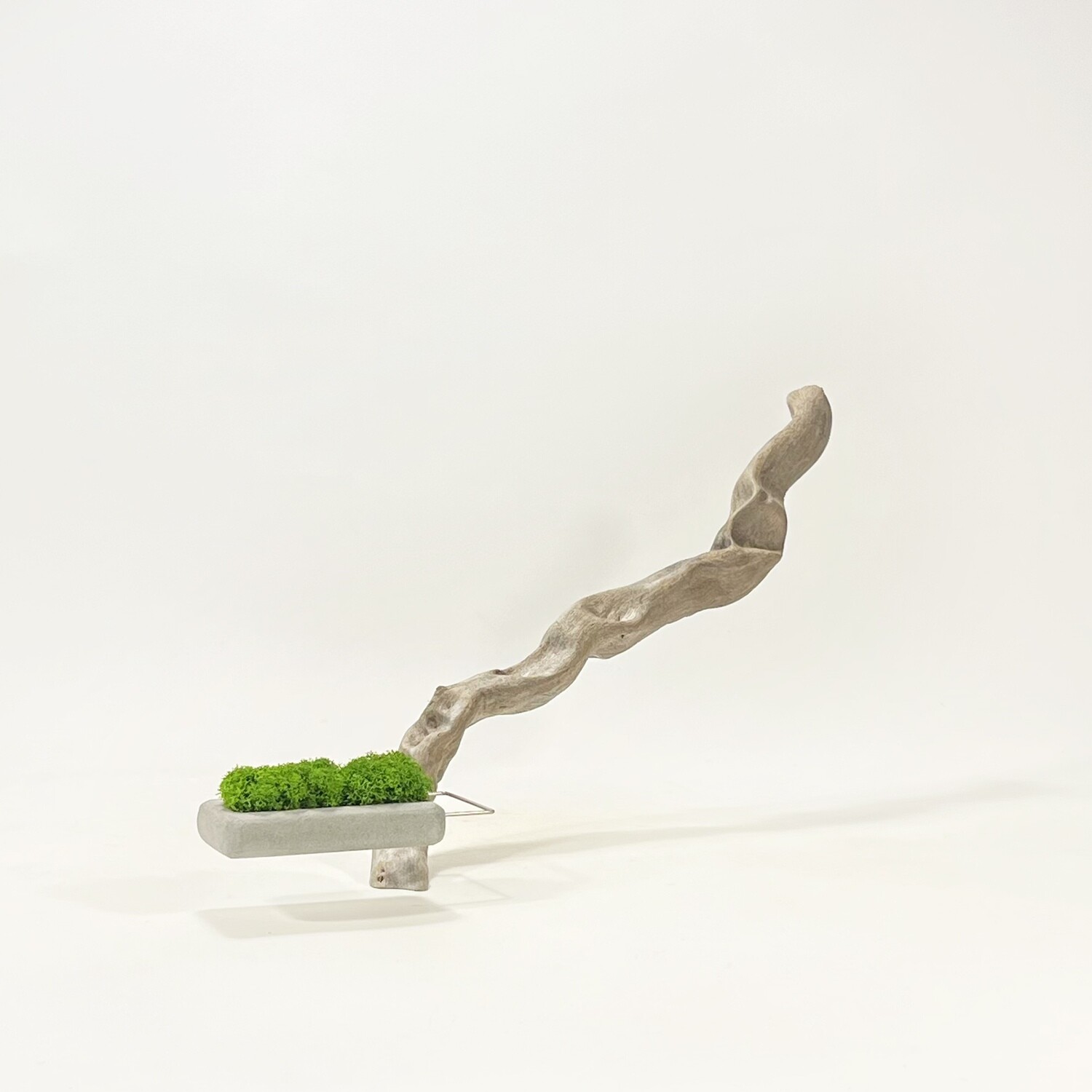 Disequilibrio in Equilibrio scultura con Lichene stabilizzato