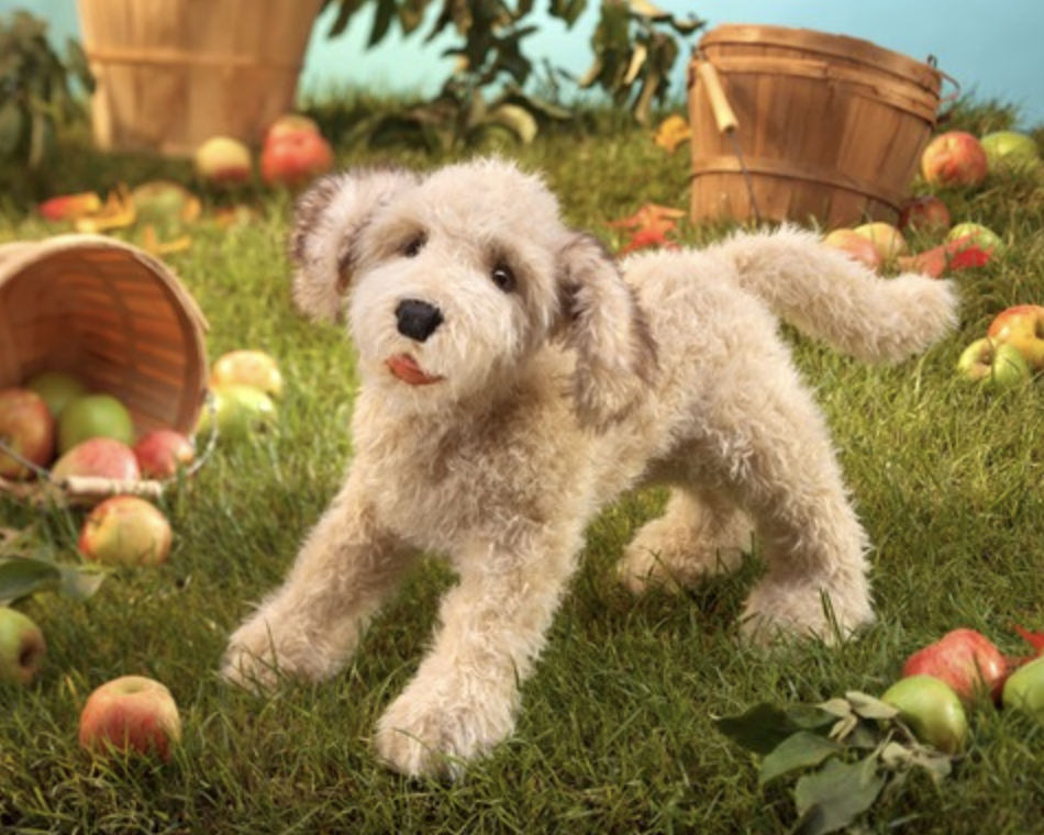 Labradoodle Folkmanis Puppet