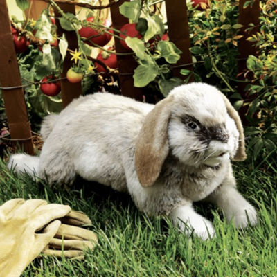 Holland Lop Eared Folkmanis Puppet