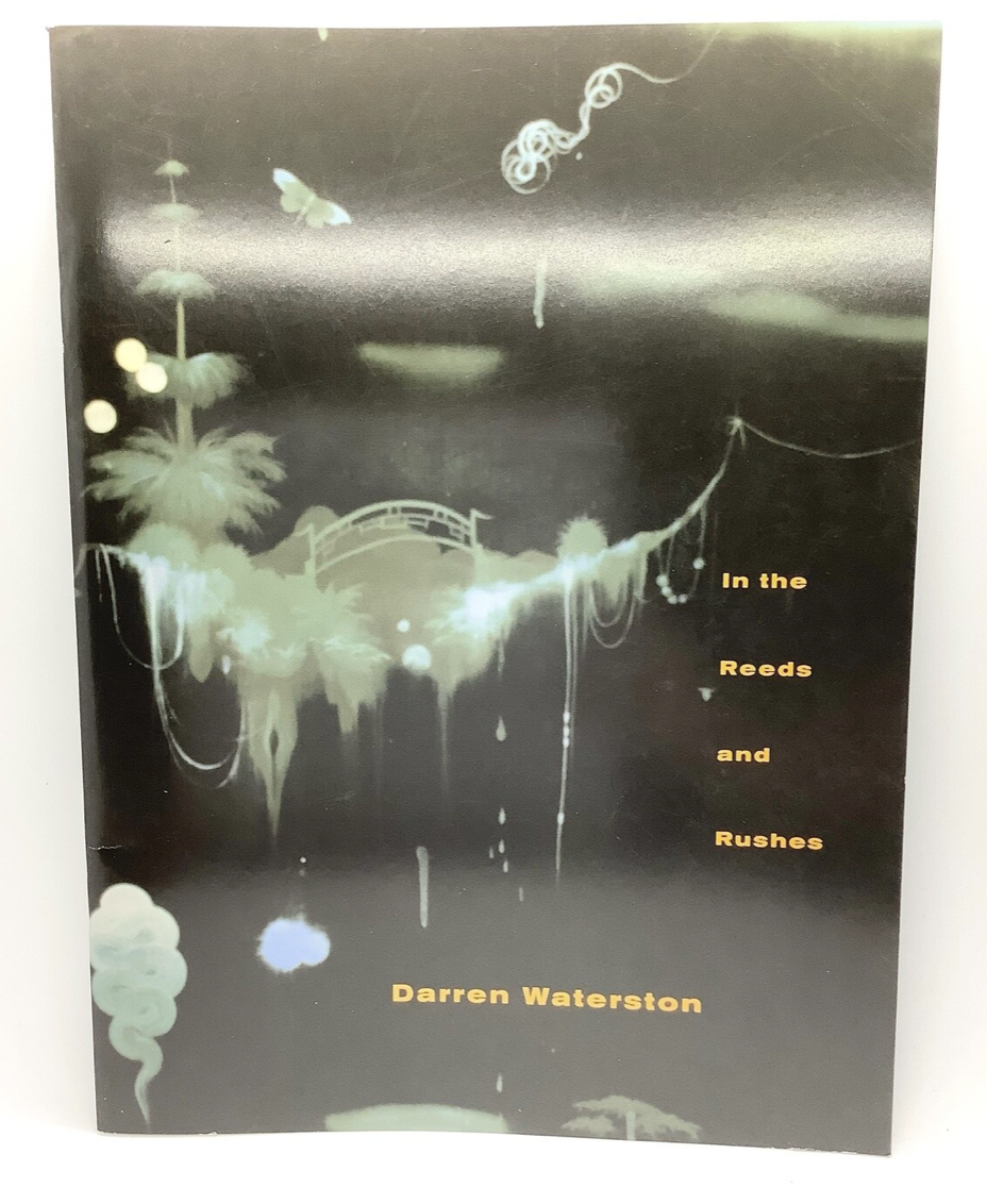 Darren Waterston: In the Reeds and Rushes1999 Exhibition Catalog
