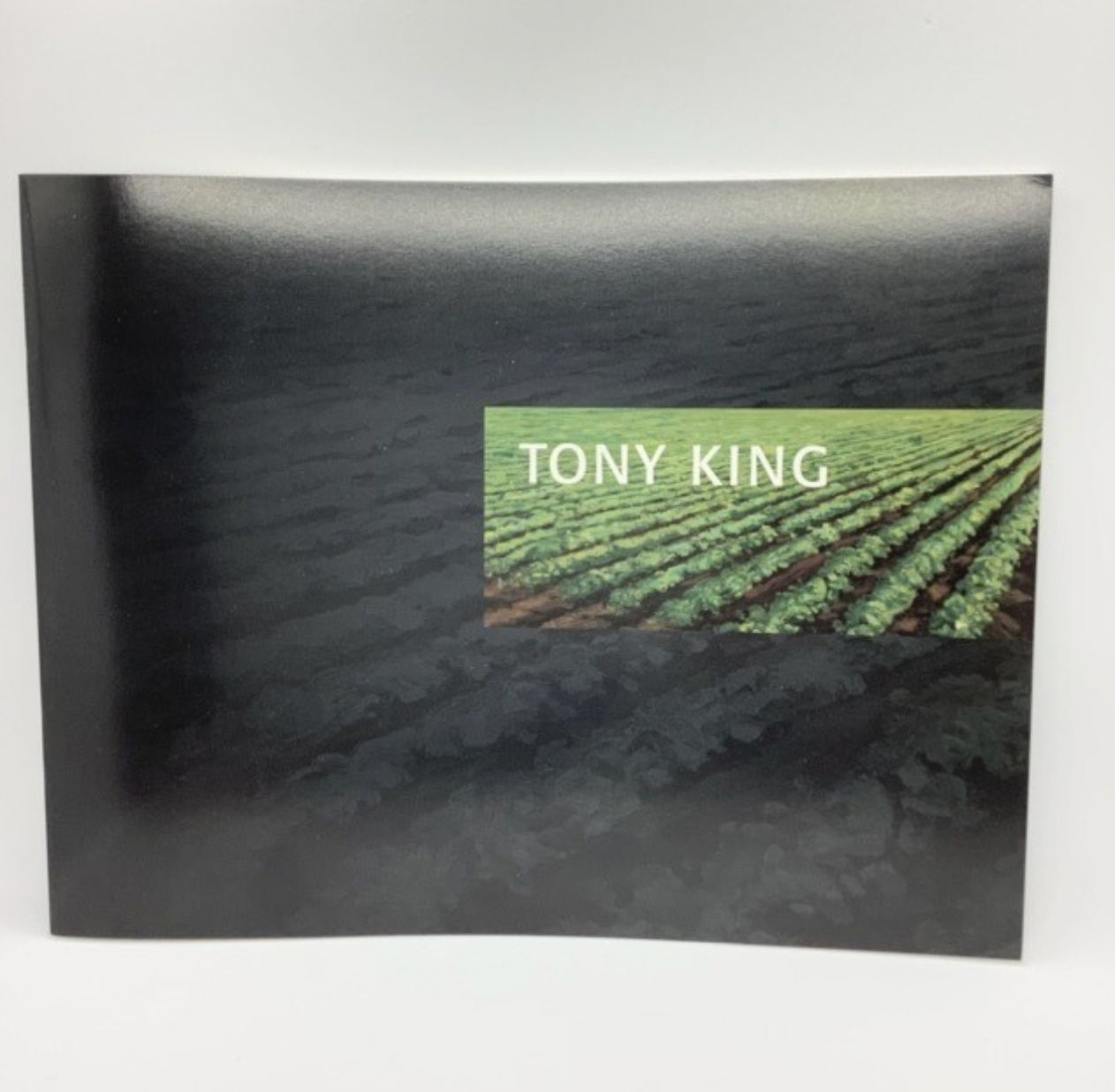 Tony King: Paintings, Drawings, Prints 1972-1997, 1997 Exhibition Catalog