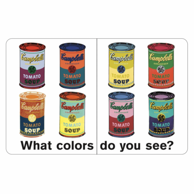 Andy Warhol What Colors Do You See?