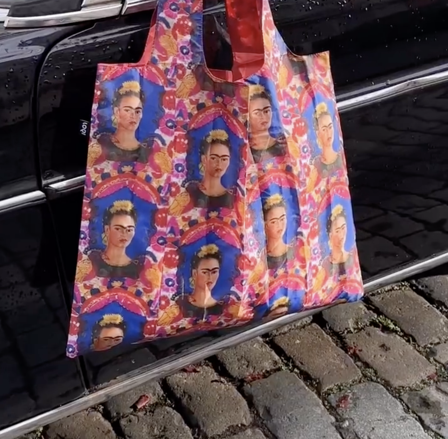 Frida Kahlo, The Frame Bag