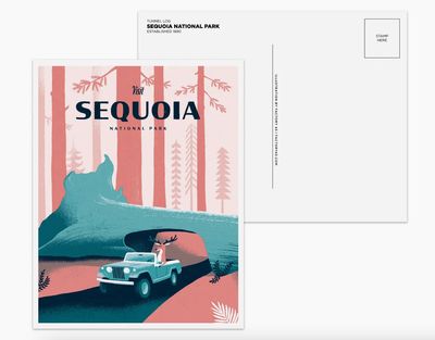 Sequoia Postcard