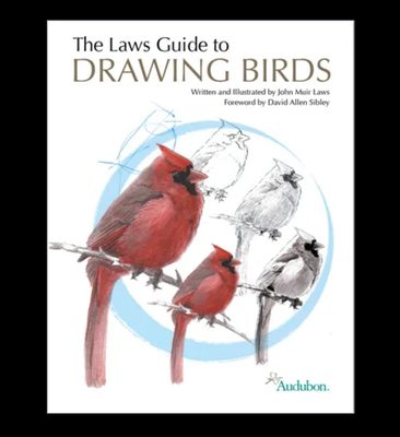 The Laws Guide to Drawing Birds