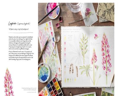Sketching Nature: The Beginner's Guide to Keeping a Botanical Sketchbook