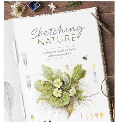 Sketching Nature: The Beginner&#39;s Guide to Keeping a Botanical Sketchbook