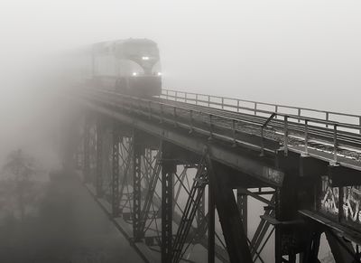 Jim Curnyn, 8am Amtrak on Foggy Bridge, Fresno (Unframed) 14x17"