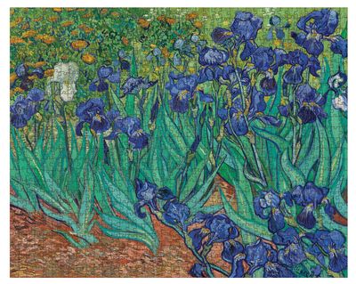 Vincent Van Gogh, Irises, 1,000 Piece Puzzle