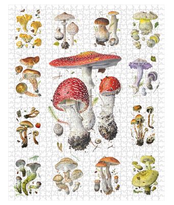 Mushrooms: Alexander Viazmensky 1000-Piece Jigsaw Puzzle