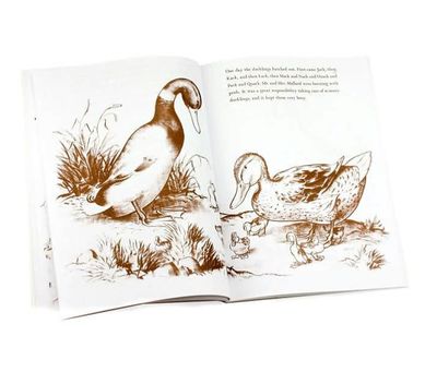 Make Way for Ducklings
